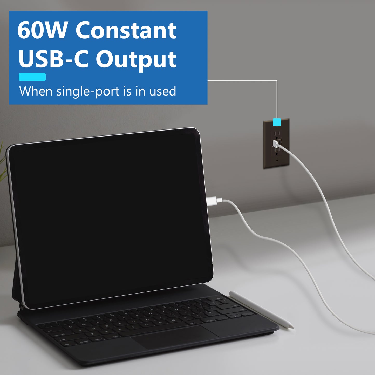 USB Type-C charger with 15A Tamper-Resistant Receptacles, Duplex Receptacle with 2 USB Type-C Charging Ports (Max 60W), Power Delivery, Interchangeable Face Cover, Wall Plate Included