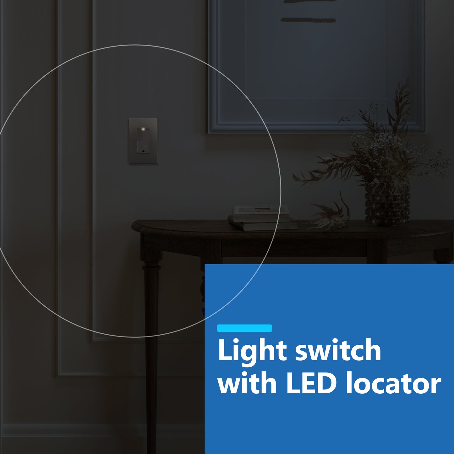 Decorator Switch and 15A Outlet Combination Device, 15A Single-Pole Paddle Light Switch & 15A Tamper Resistant Outlet, Built-in LED Locator