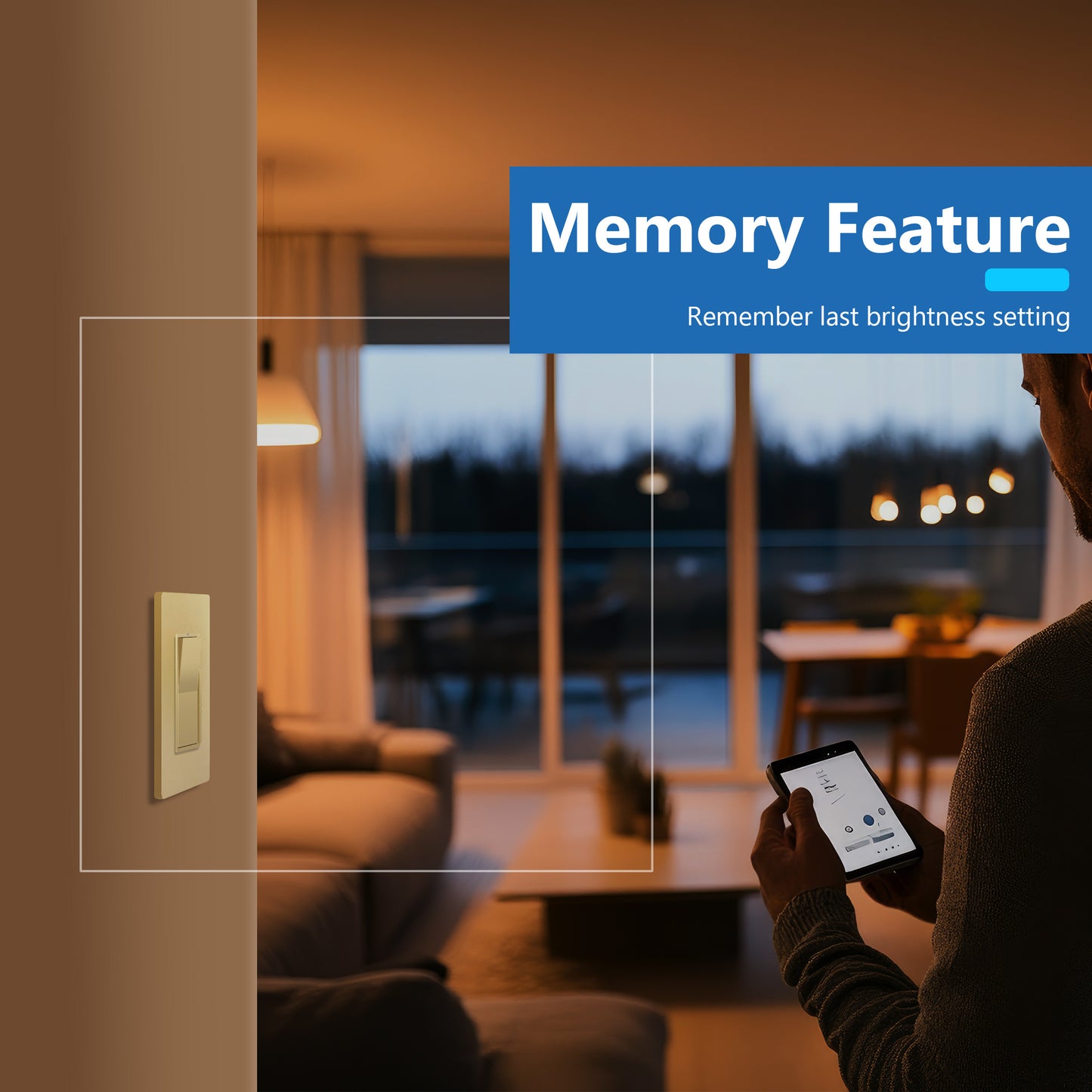 Decorator LED Dimmer Paddle Switch, 1-Pole or 3-Way, 2-Wire, 300W LED/CFL, 600W Incandescent/Halogen, LED Locator, No Neutral Required, UL-Listed, Wall Plate Included