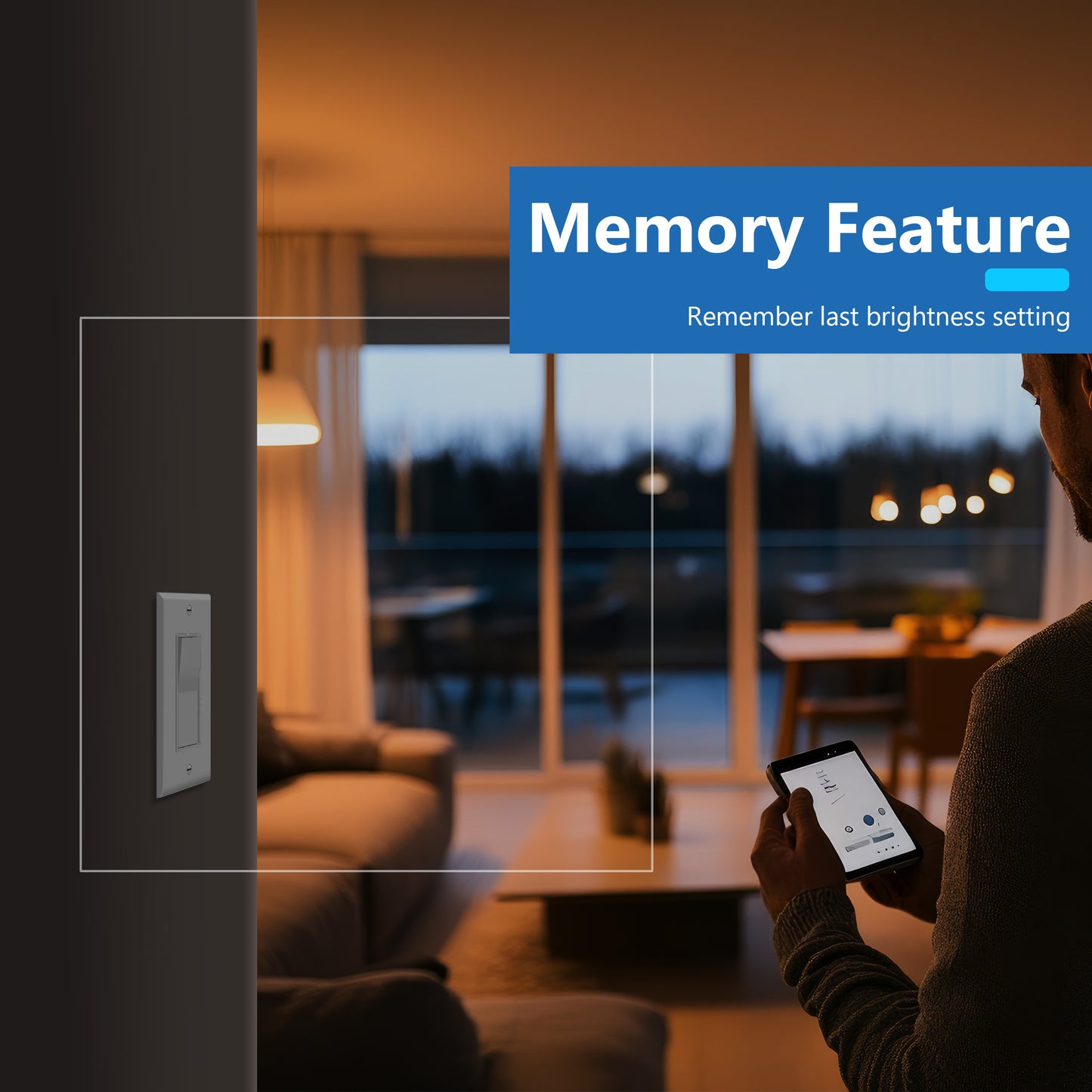 Decorator LED Dimmer Paddle Switch, 1-Pole or 3-Way, 2-Wire, 300W LED/CFL, 600W Incandescent/Halogen, LED Locator, No Neutral Required, UL-Listed, Wall Plate Included
