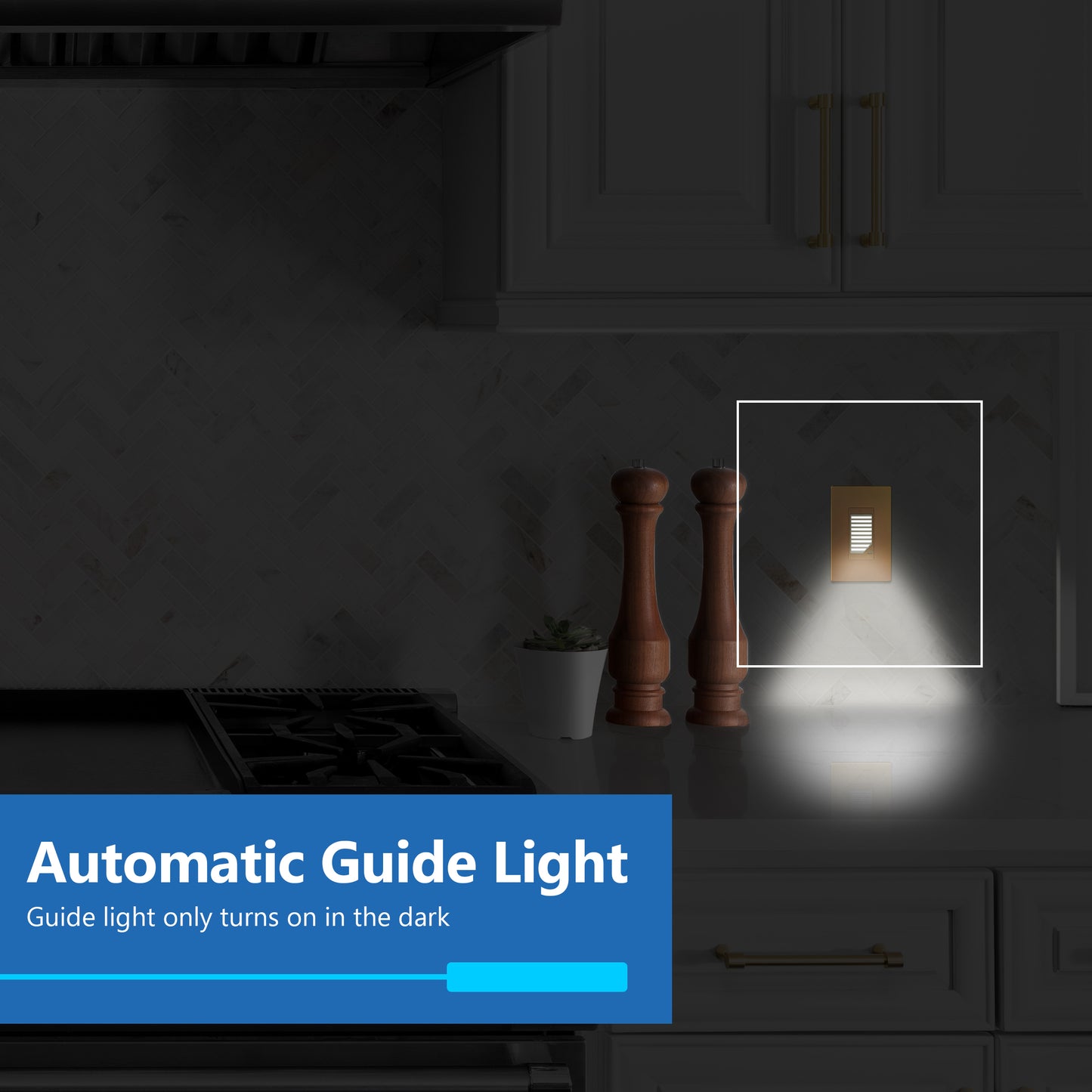 Decorator Full Face LED Guide Light with Daylight Sensor, Automatic Night Light, Wall Plate Included
