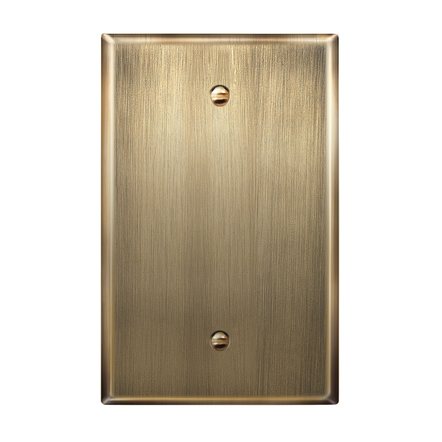 Blank Metal Wall Plate, Stainless Steel Blank Outlet Cover, Corrosion Resistant, 1-Gang, Mid-Size