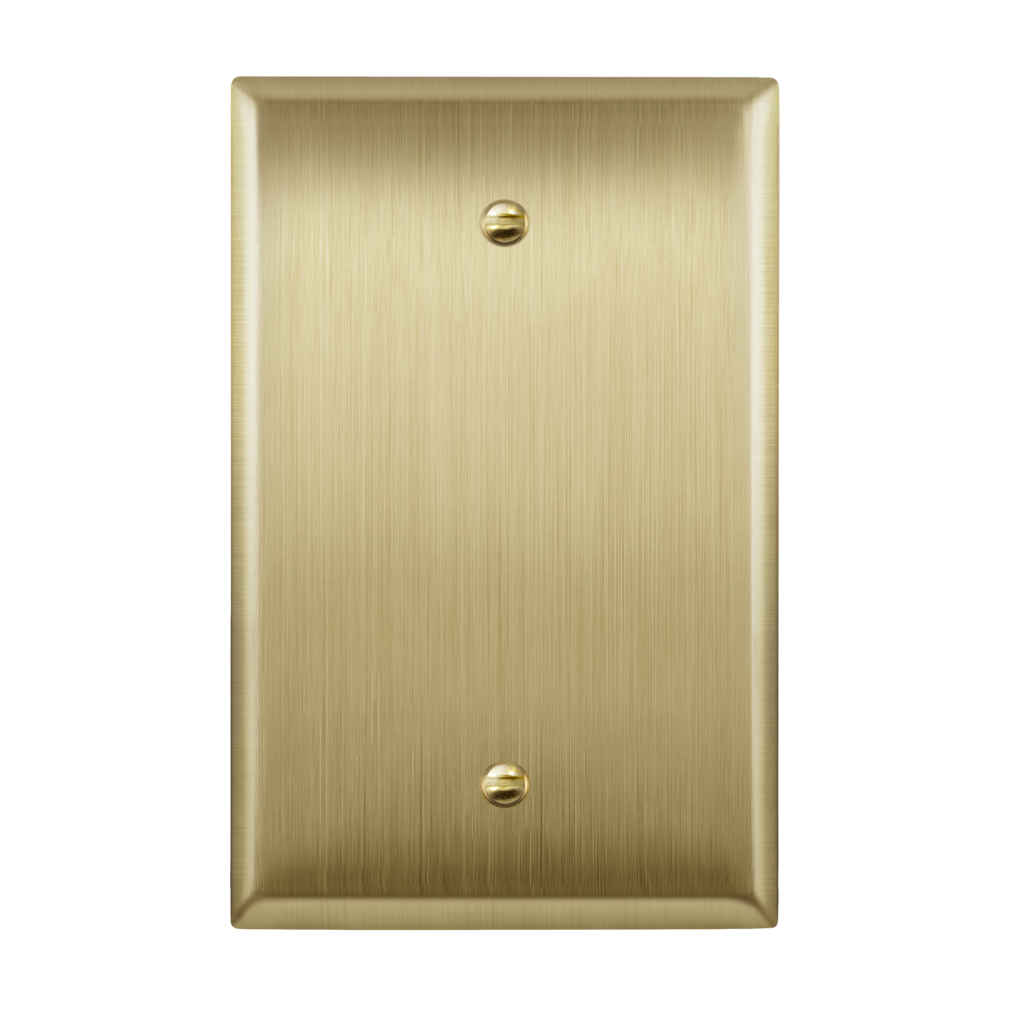 Blank Metal Wall Plate, Stainless Steel Blank Outlet Cover, Corrosion Resistant, 1-Gang, Mid-Size