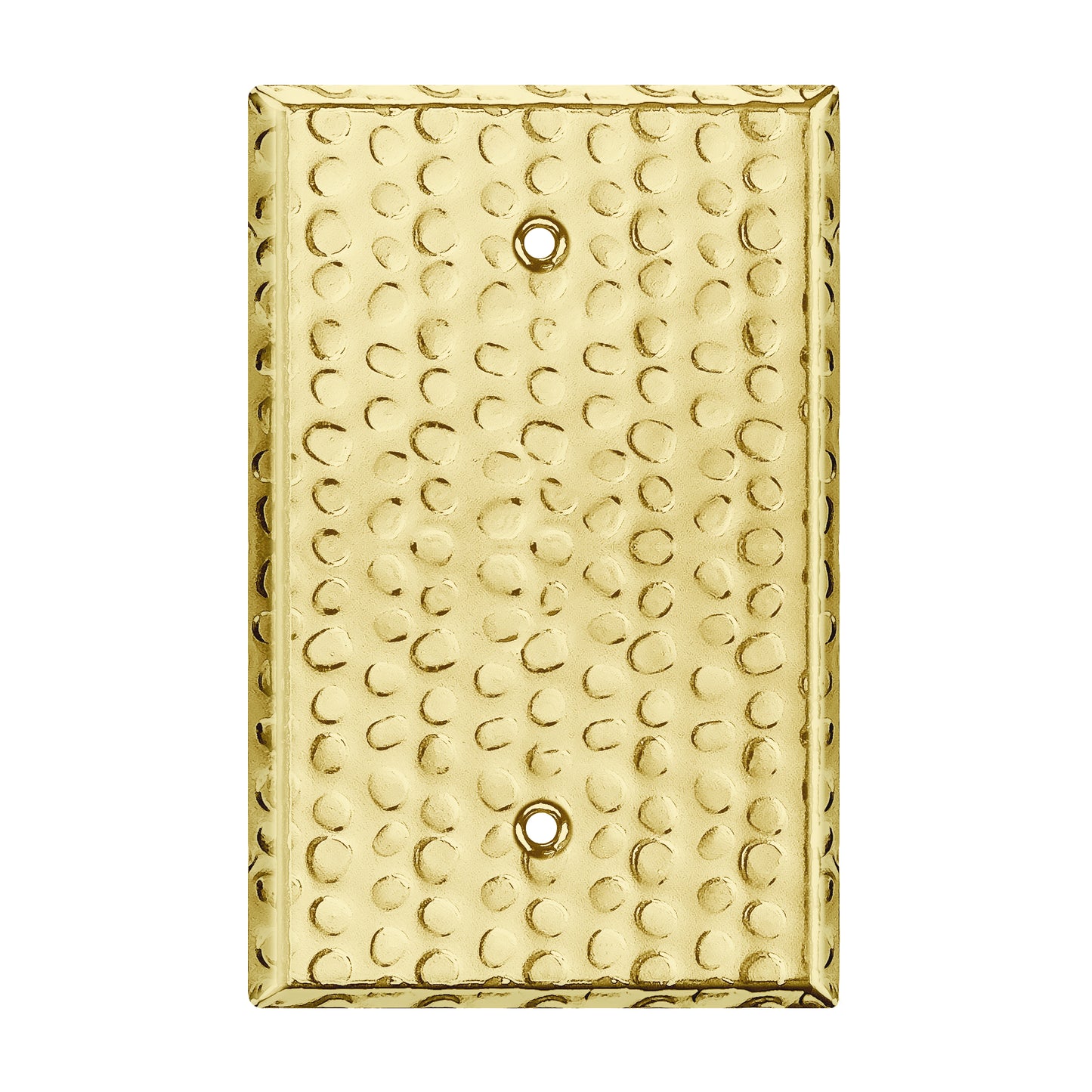 Blank Metal Wall Plate, Stainless Steel Blank Outlet Cover, Corrosion Resistant, 1-Gang, Mid-Size
