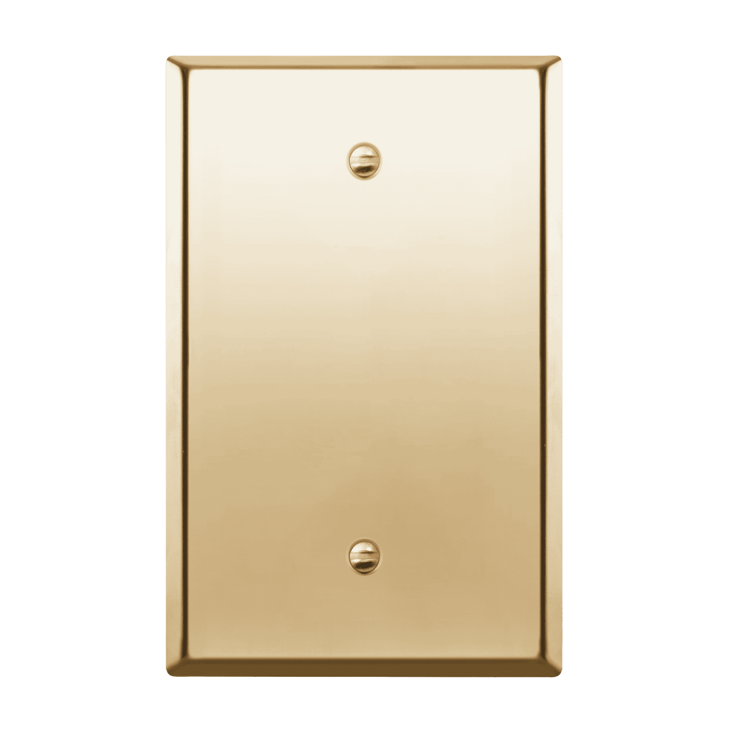 Blank Metal Wall Plate, Stainless Steel Blank Outlet Cover, Corrosion Resistant, 1-Gang, Mid-Size
