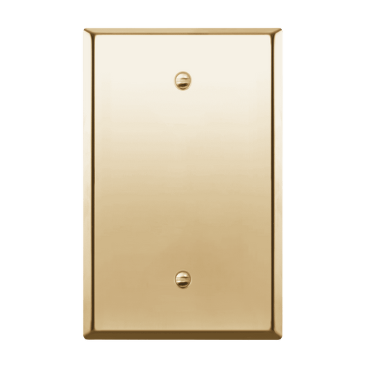 Blank Metal Wall Plate, Stainless Steel Blank Outlet Cover, Corrosion Resistant, 1-Gang, Mid-Size