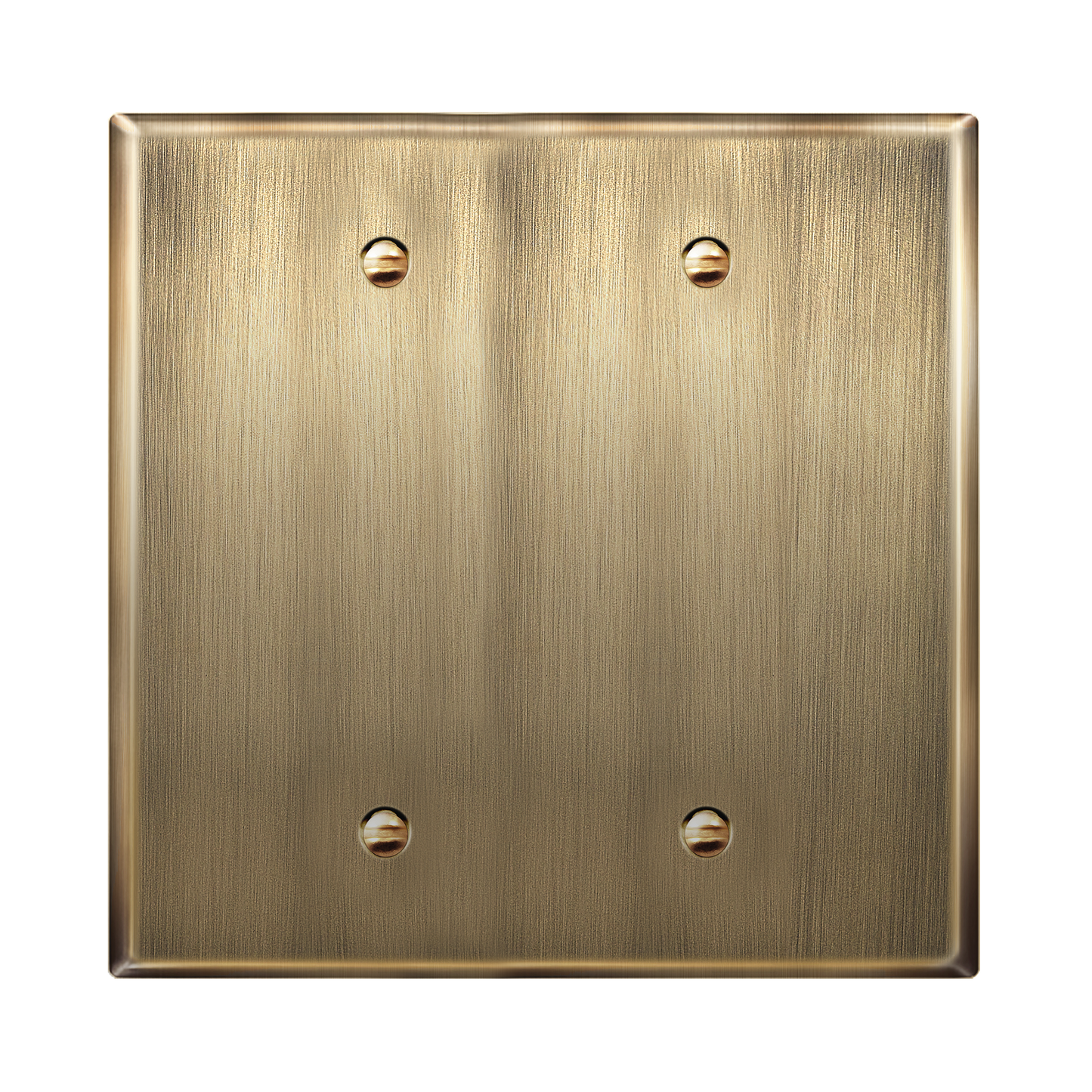 Blank Metal Wall Plate, Stainless Steel Blank Outlet Cover, Corrosion Resistant, 2-Gang, Mid-Size
