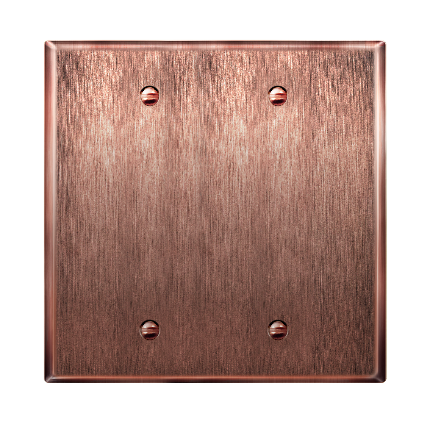 Blank Metal Wall Plate, Stainless Steel Blank Outlet Cover, Corrosion Resistant, 2-Gang, Mid-Size