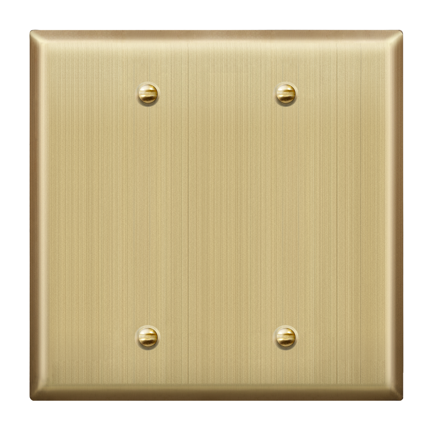 Blank Metal Wall Plate, Stainless Steel Blank Outlet Cover, Corrosion Resistant, 2-Gang, Mid-Size