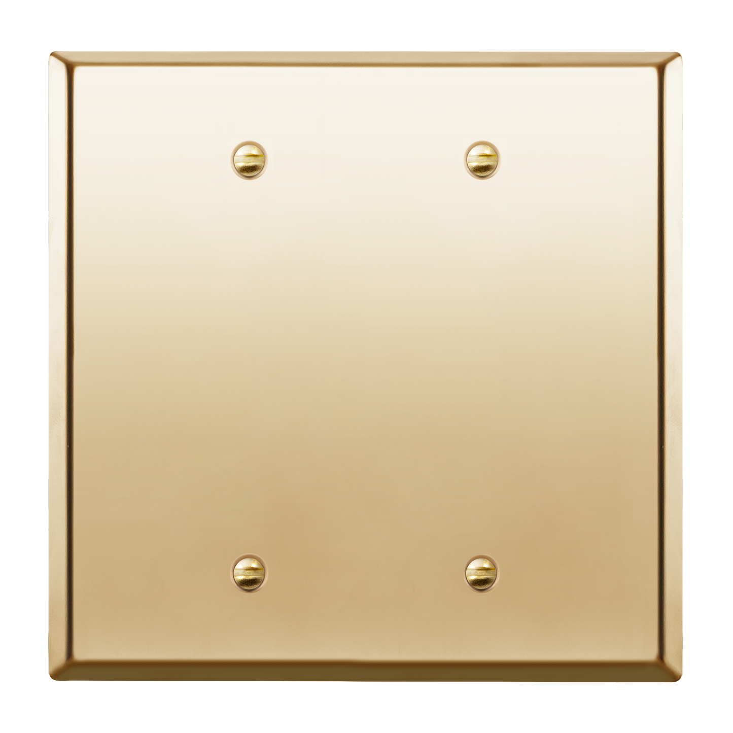 Blank Metal Wall Plate, Stainless Steel Blank Outlet Cover, Corrosion Resistant, 2-Gang, Mid-Size