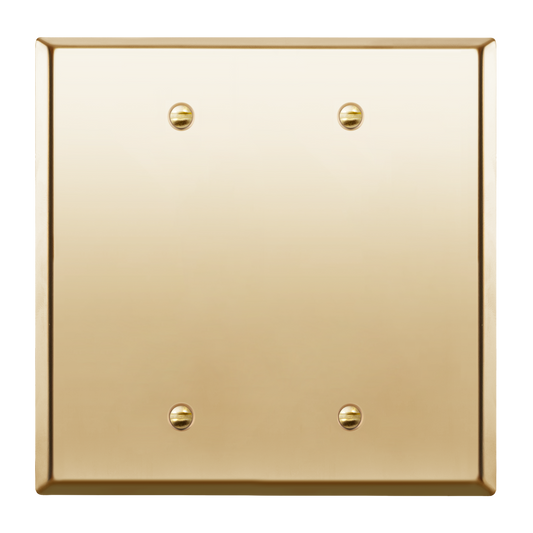 Blank Metal Wall Plate, Stainless Steel Blank Outlet Cover, Corrosion Resistant, 2-Gang, Mid-Size