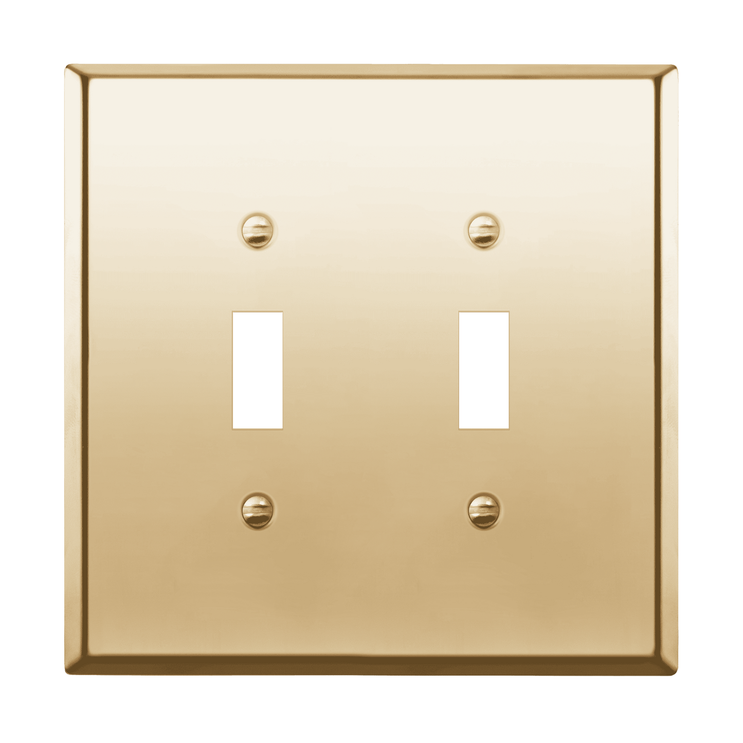 Toggle Light Switch Metal Wall Plate, Stainless Steel Switch Cover, Corrosion Resistant, 2-Gang, Mid-Size