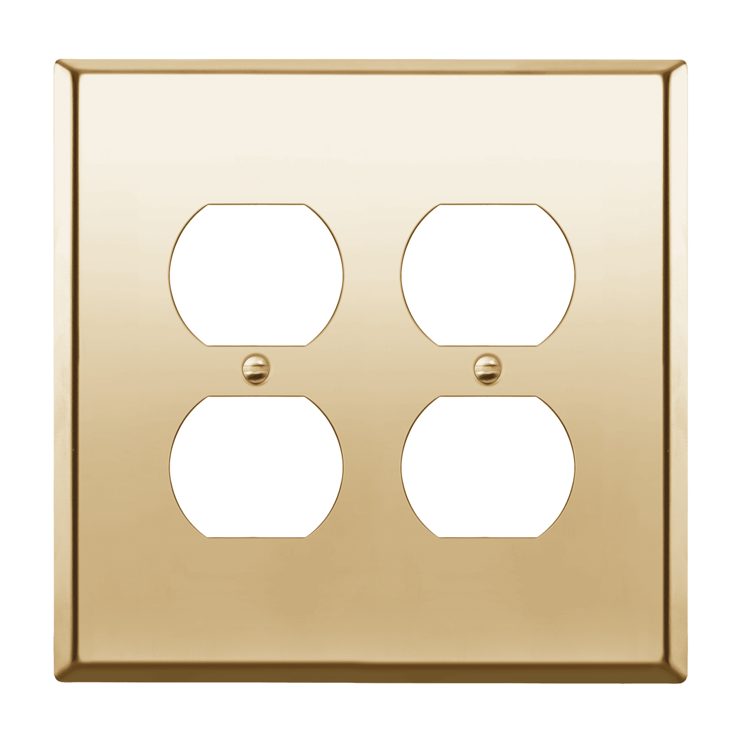 Duplex Receptacle Metal Wall Plate, Stainless Steel Outlet Cover, Corrosion Resistant, 2-Gang, Mid-Size