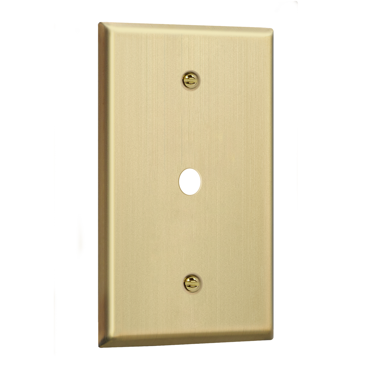 0.406" Diameter Hole Phone Cable Metal Wall Plate, Stainless Steel Outlet Cover, Corrosion Resistant, 1-Gang, Mid-Size