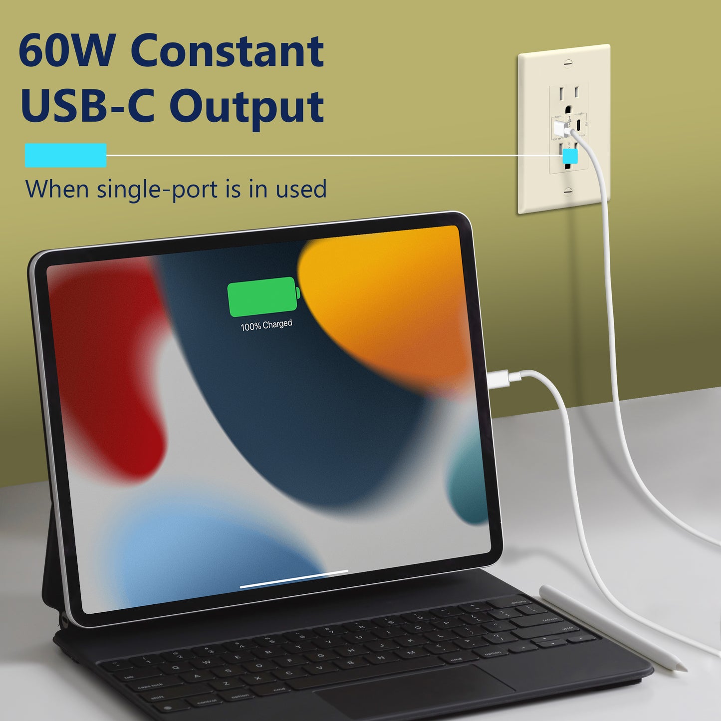USB Type-C charger with 15A Tamper-Resistant Receptacles, Duplex Receptacle with 2 USB Type-C Charging Ports (Max 60W), Power Delivery, Interchangeable Face Cover, Wall Plate Included