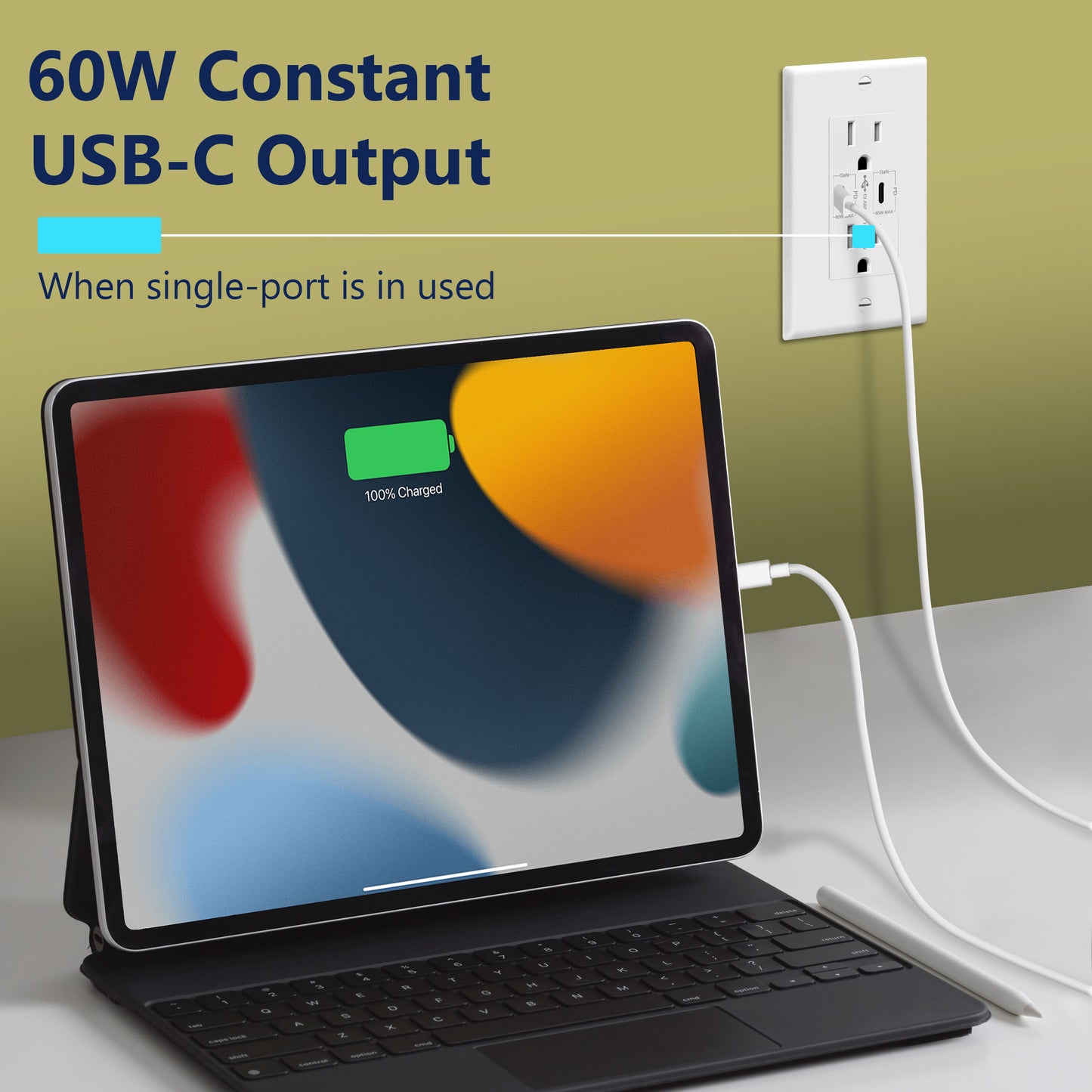 USB Type-C charger with 15A Tamper-Resistant Receptacles, Duplex Receptacle with 2 USB Type-C Charging Ports (Max 60W), Power Delivery, Interchangeable Face Cover, Wall Plate Included
